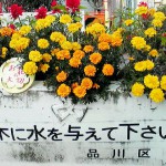 20110109153811.jpg